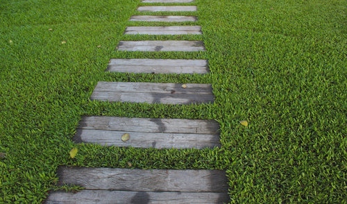 Using A Lawn Spreader