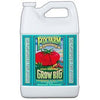 Grow Big Hydro Liquid Plant Food Concentrate, 1-Gal.