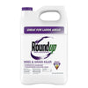 Roundup® Super Concentrate Weed & Grass Killer (35.2 Oz)