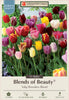 Netherland Bulb Company Blends of Beauty® Tulip Breeders Blend (15 Bulbs)