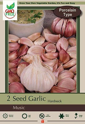 Netherland Bulb Company Hardneck Seed Garlic - Porcelain Type (2 Jumbo Bulbs)
