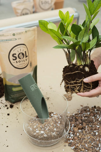 Sol Soils Houseplant Chunky Mix