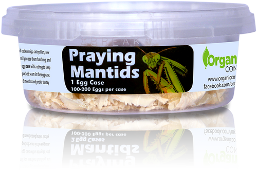 Organic Control Praying Mantids (1 Egg Case)