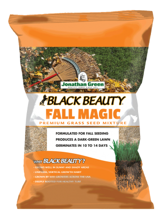 Jonathan Green Black Beauty® Fall Magic Grass Seed (3 Lb)